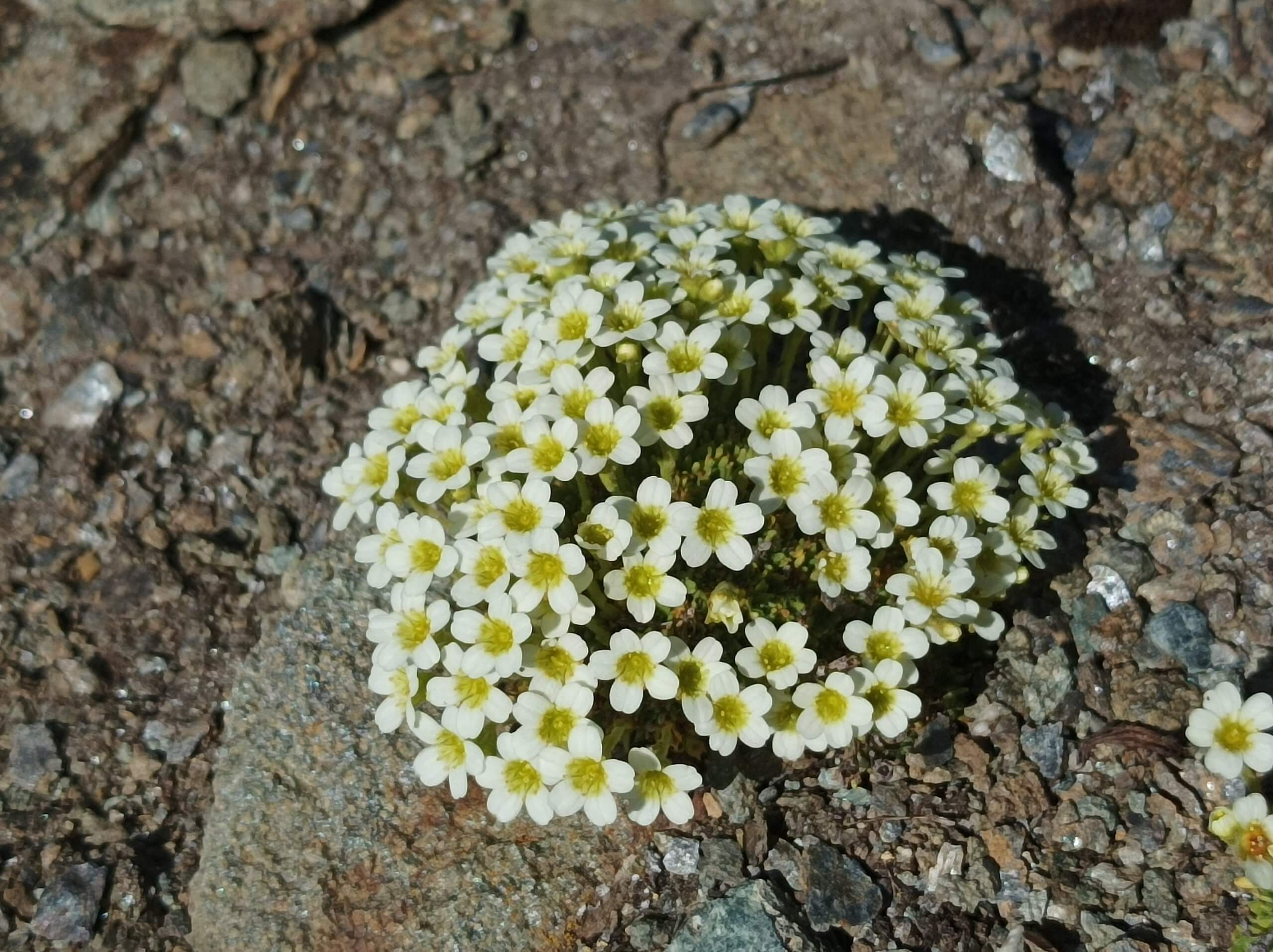 IMG 20240731
