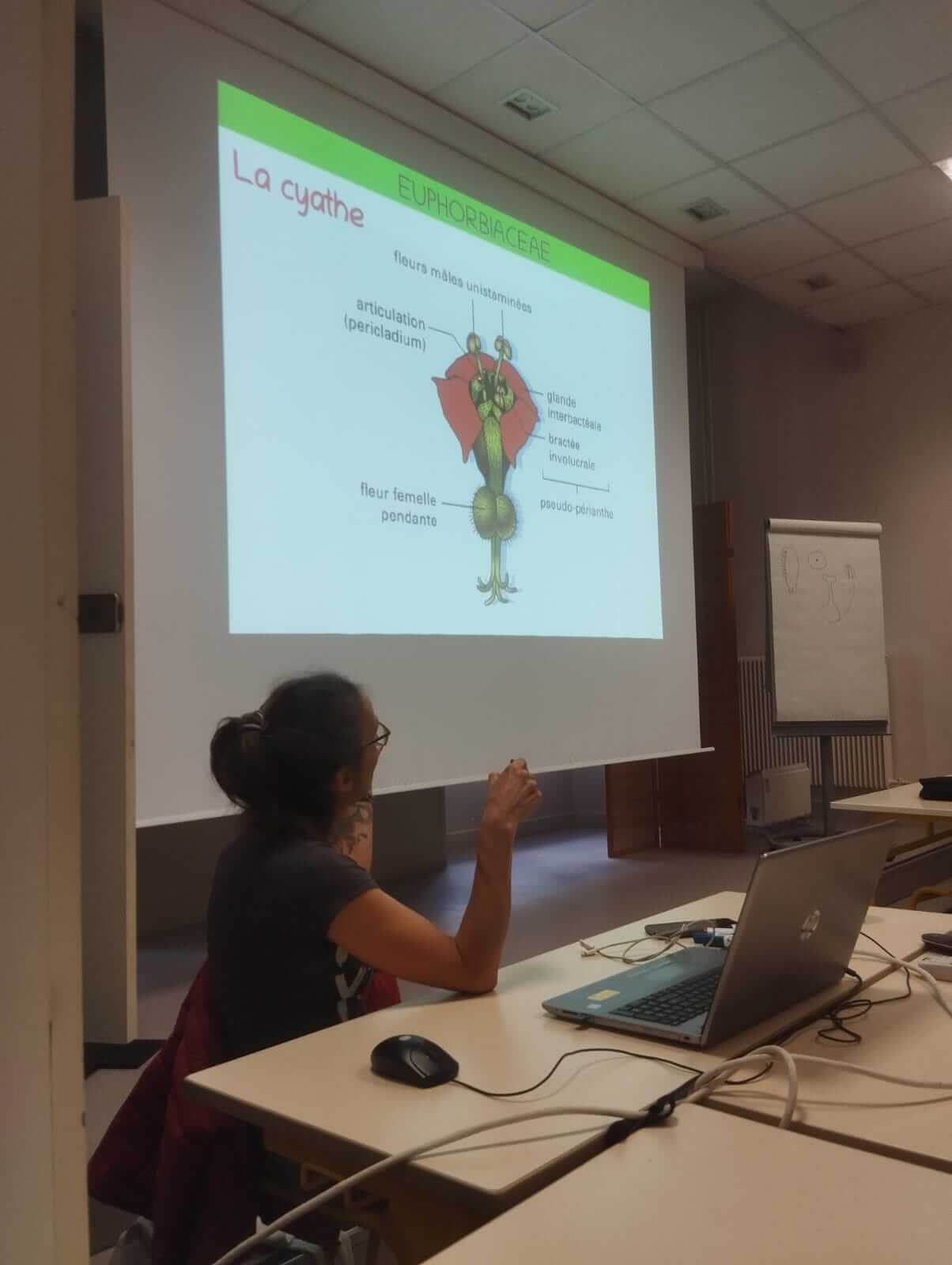 Whatsapp Image 2025 01 30 At 18.13.41