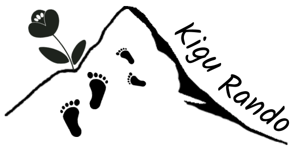 Cropped Logo Noir Bis.png