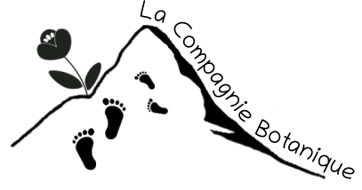 Cropped logo lolo lacompagniebotanqique.png