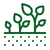 Icons8 plante en croissance
